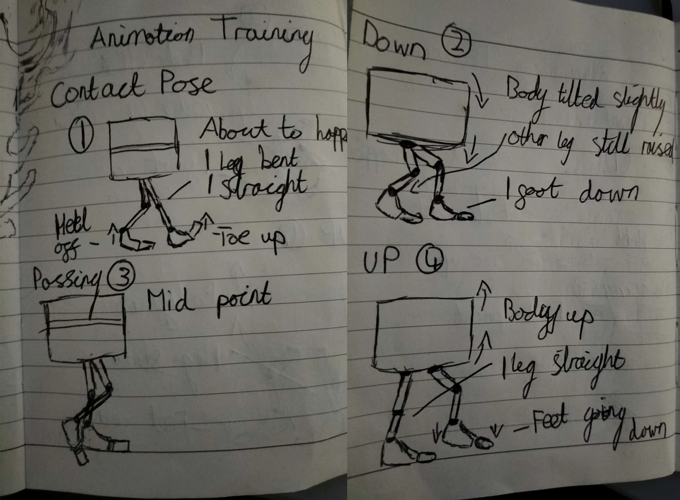 Annotated contact, down, passing and up drawings for a walk cycle